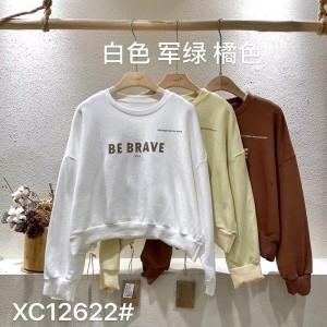 Rentoutunut muotoilu Minimalist Round Collar style Sekoitettu hiha tyyli Satunnainen Kiinteä väri puuvilla ja liina liioiteltu mukautettu 12622 Hikoihirtit